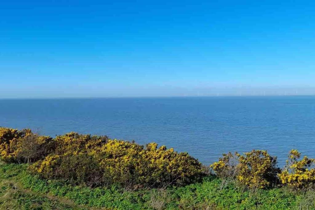 Herne Bay Central - 2 Minutes From Beach Apartment Exterior photo